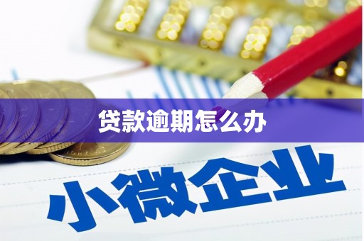 榆林贷款逾期怎么办