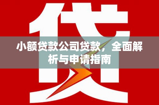 榆林小额贷款公司贷款，全面解析与申请指南