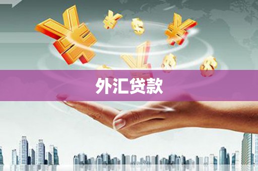 榆林外汇贷款