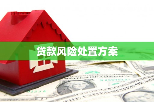 榆林贷款风险处置方案