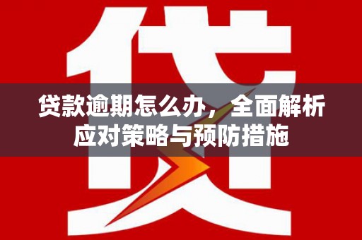 榆林贷款逾期怎么办，全面解析应对策略与预防措施