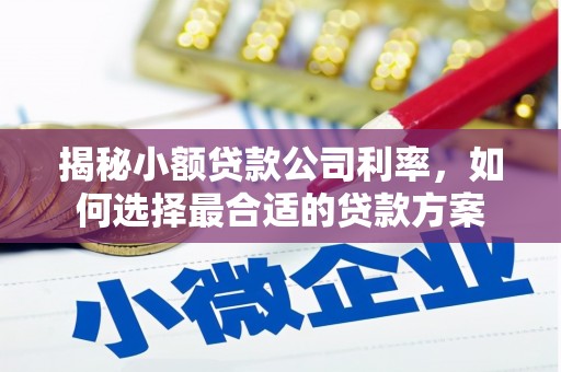 榆林揭秘小额贷款公司利率，如何选择最合适的贷款方案