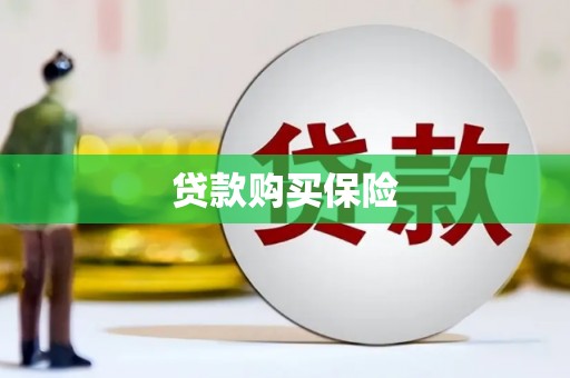 榆林贷款购买保险