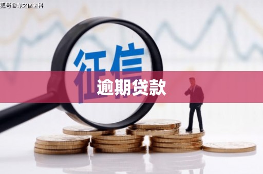 榆林逾期贷款